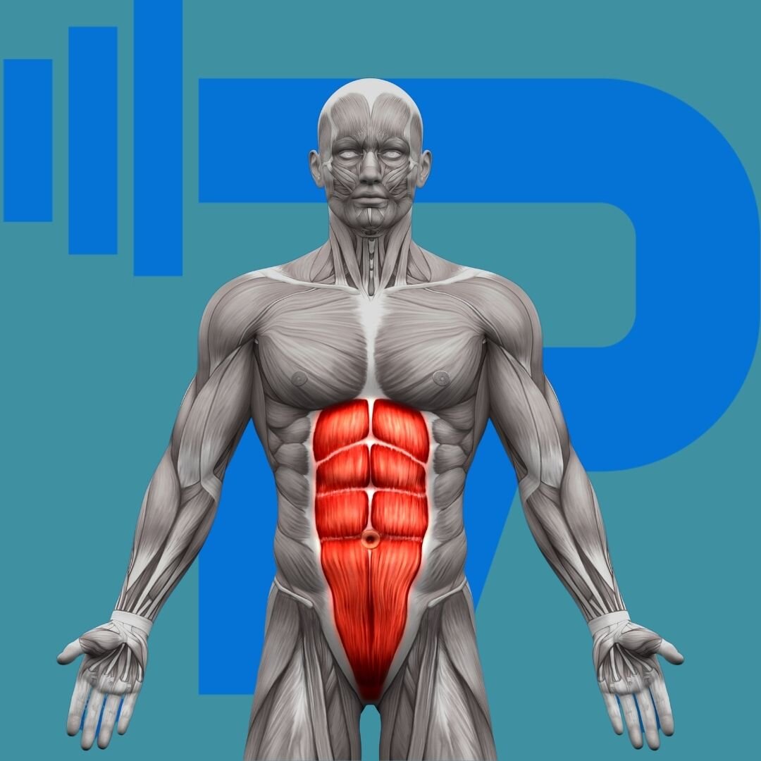 How to get visible abs - Personal Training Online