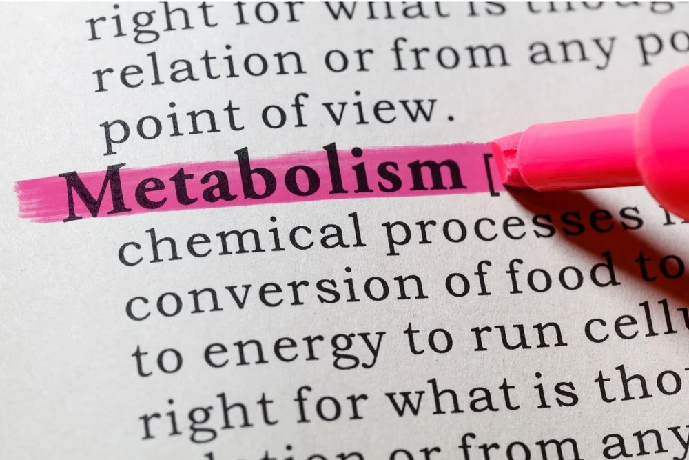 What Age Does Your Metabolism Slow Down? Personal Training Online