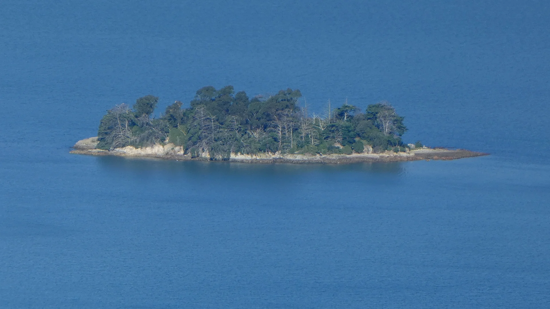 Desert Island.jpg