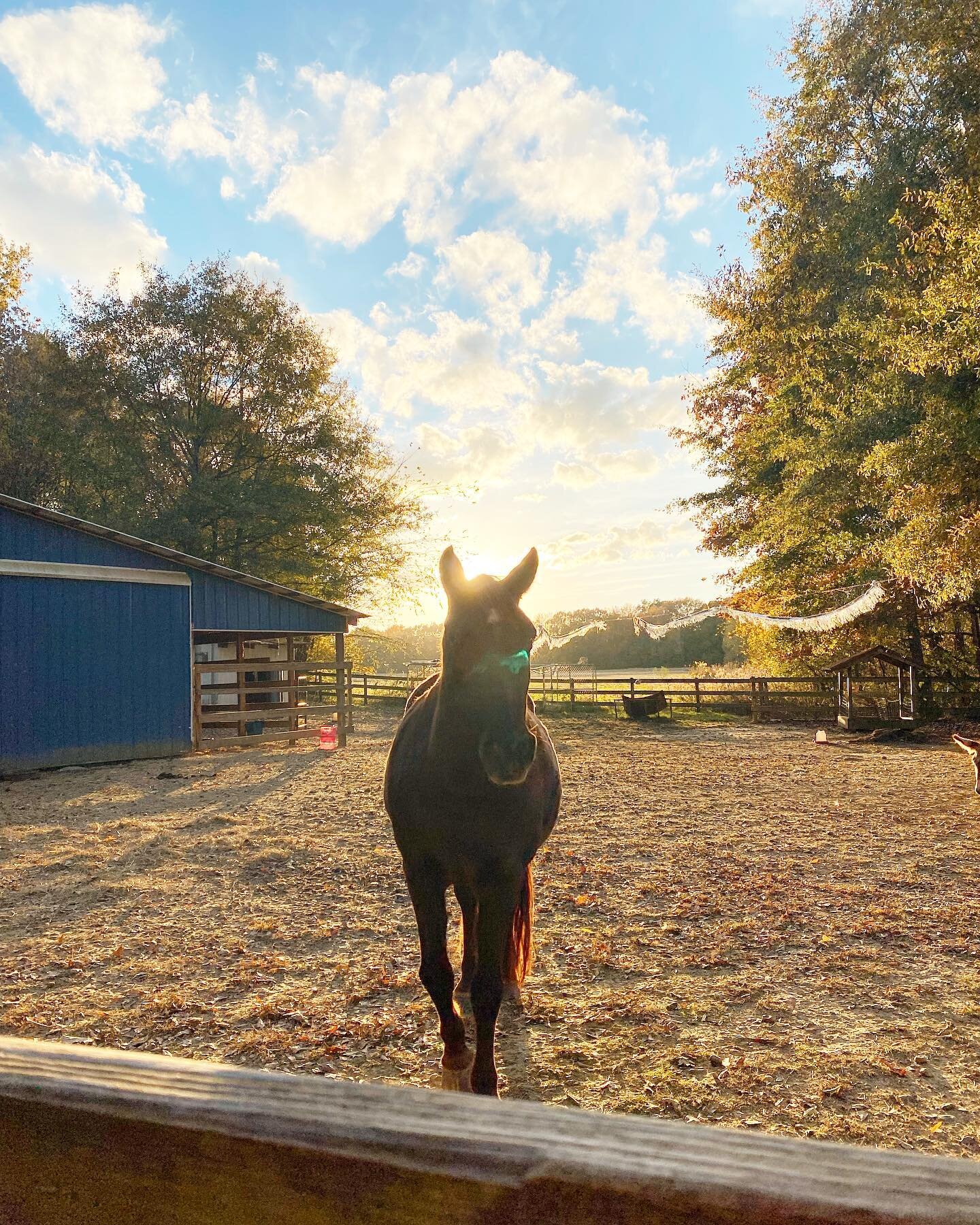 Happy Thursday!😃 Here are some beautiful fall photos of the farm.