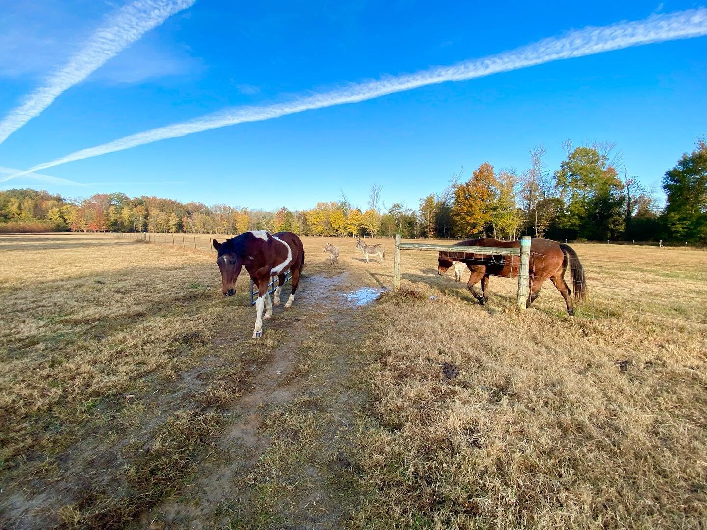 It&rsquo;s a cool friday morning!
-
From the ARK Farms family to you&hellip;have a great weekend!