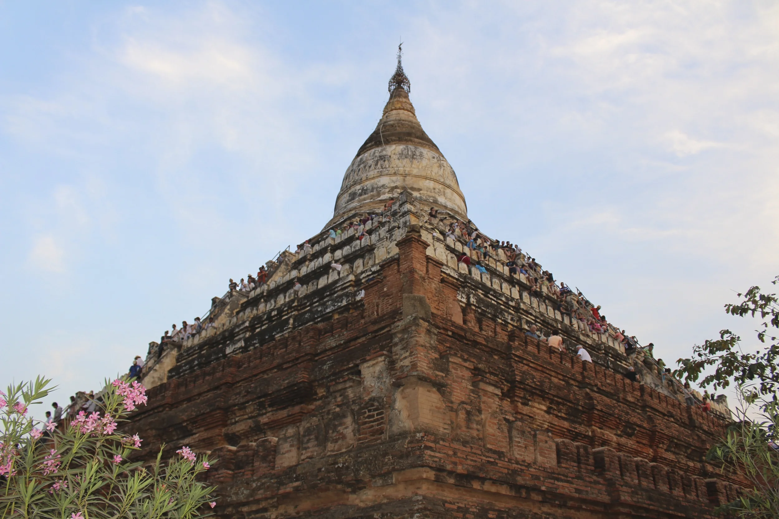 IMG_1071.jpg