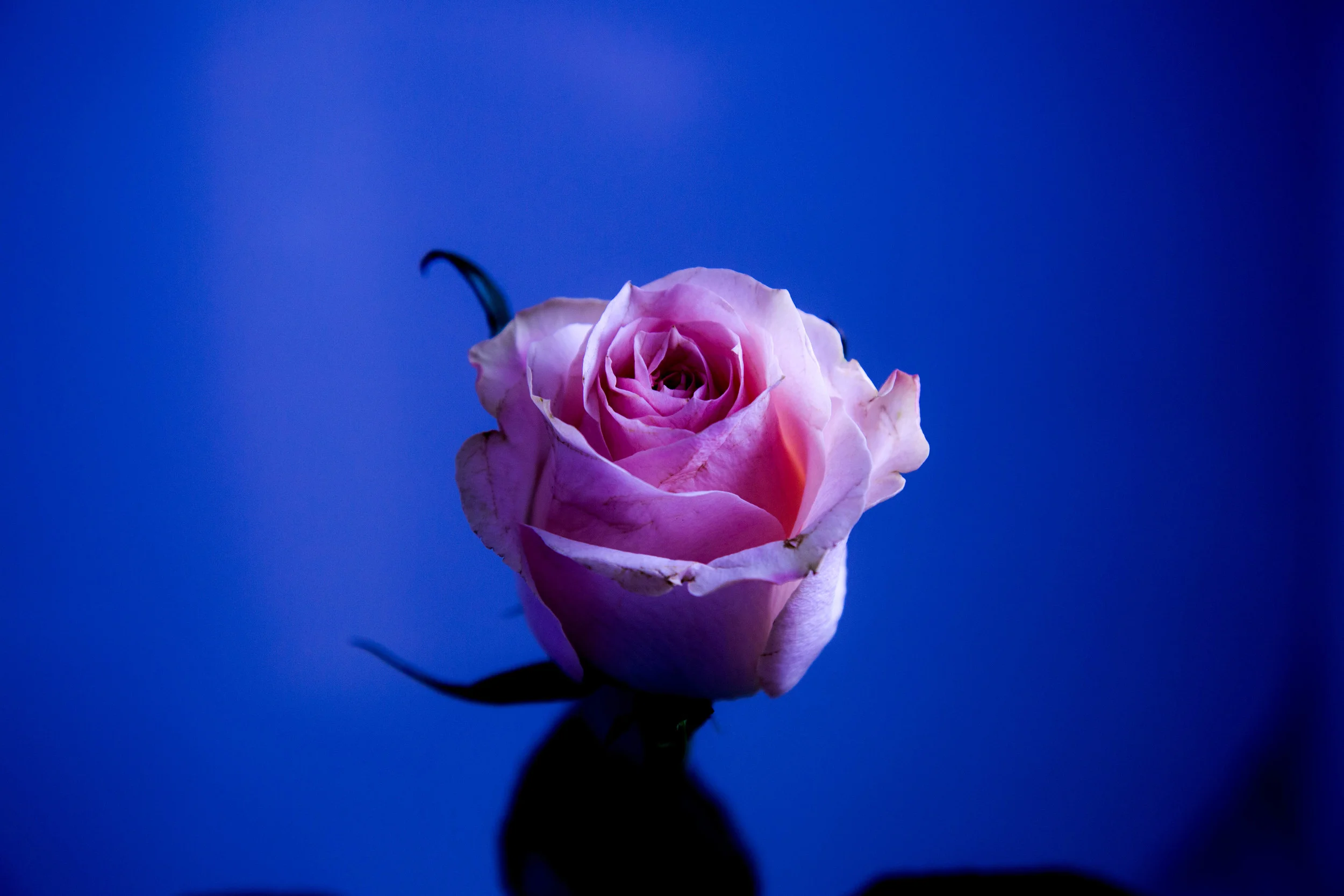BC4A5680-Edit.jpg