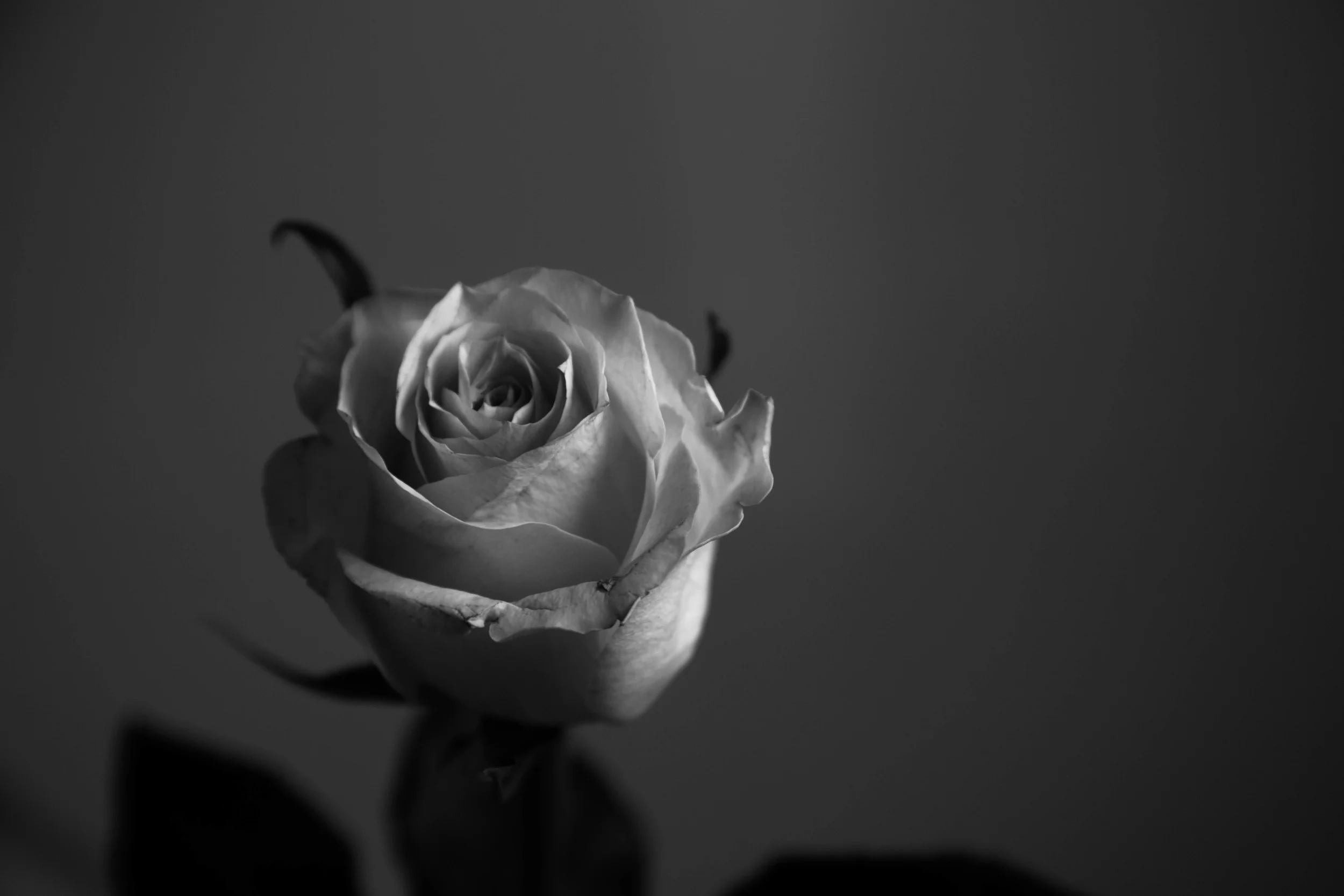BC4A5657.jpg