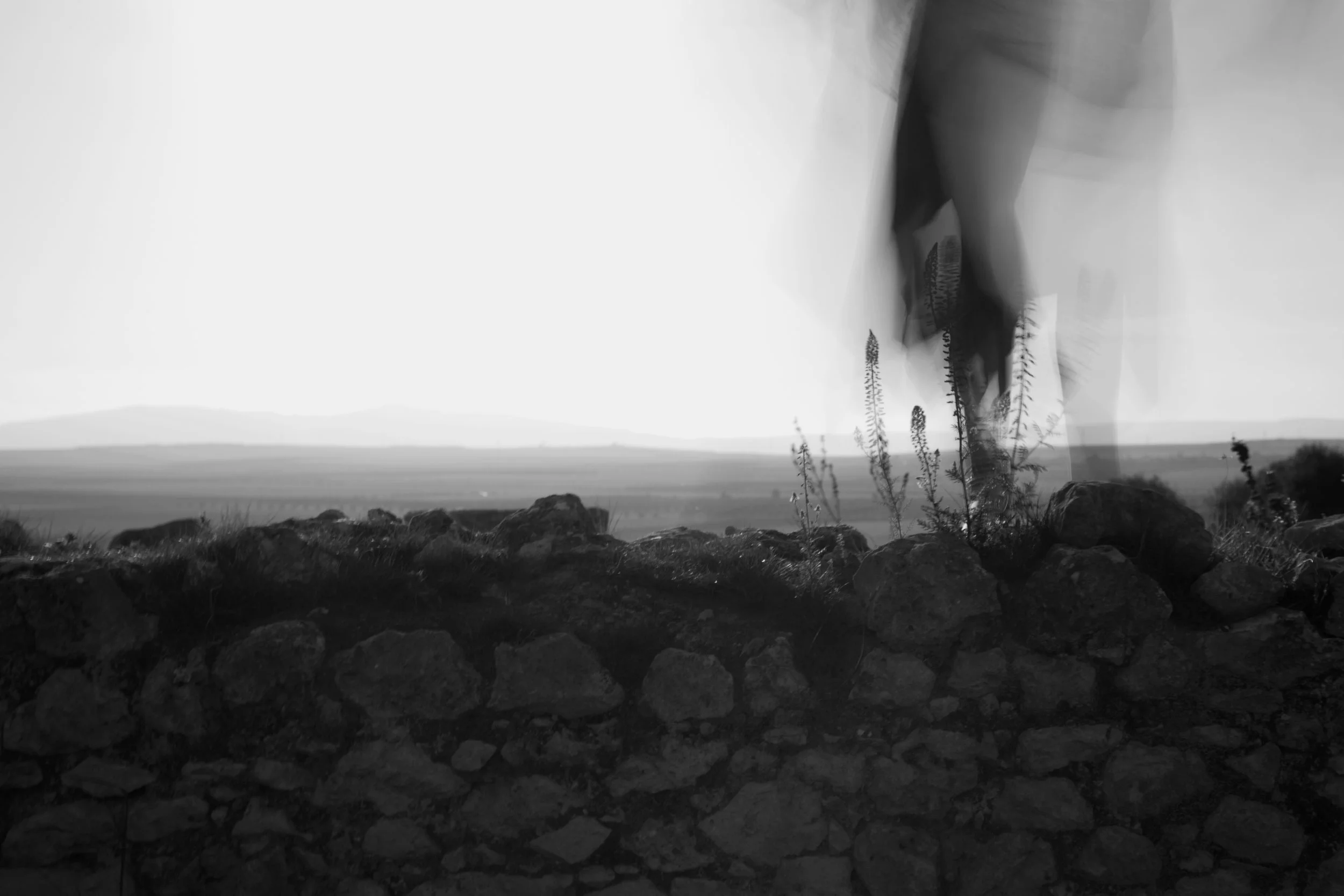 BC4A7746.2.jpg