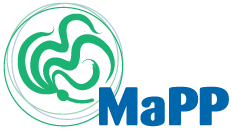 MAPP logo.png