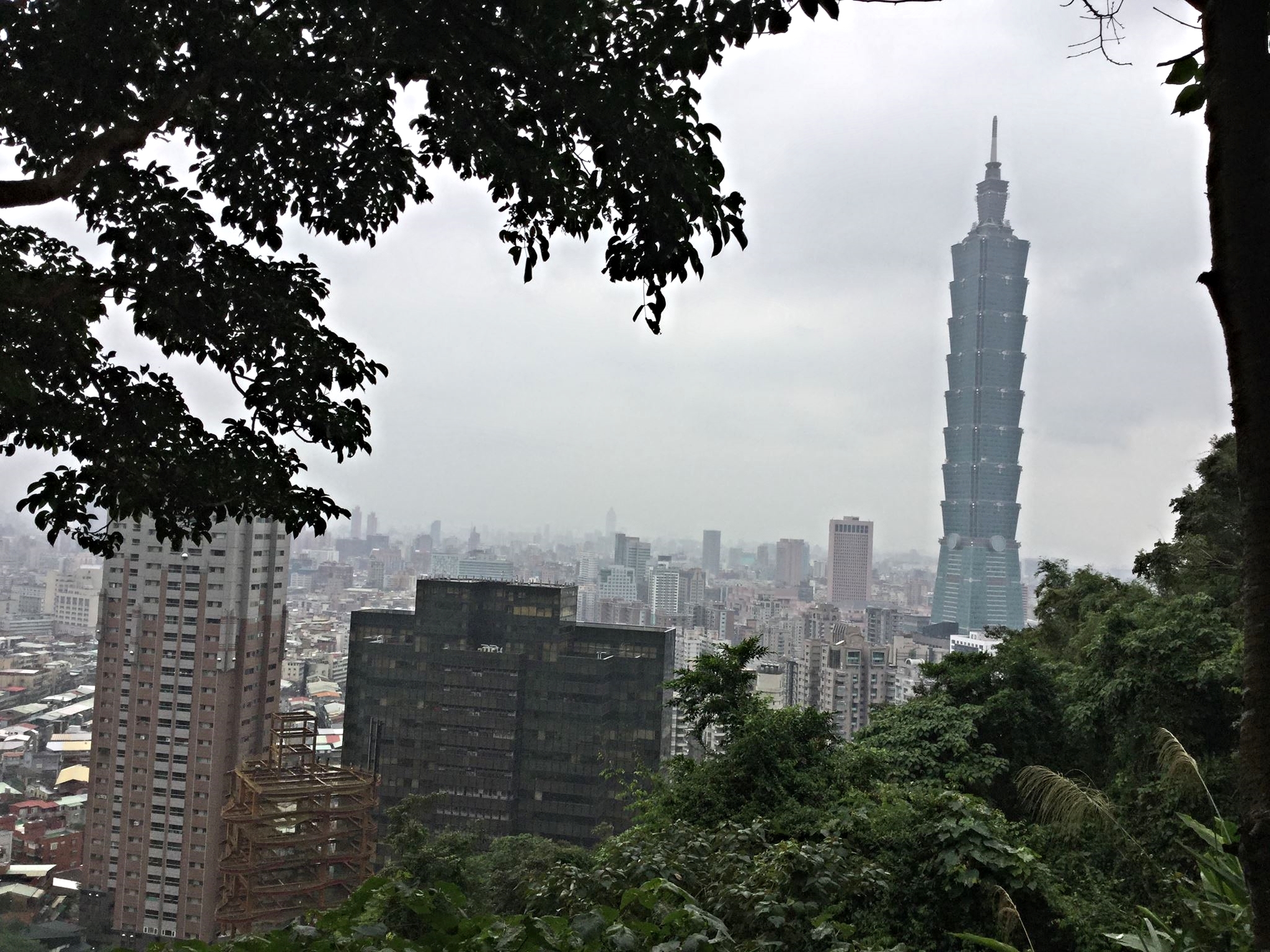 i took this great shot of Taipei's skyline from a viewpoint on Elephant Mountain.