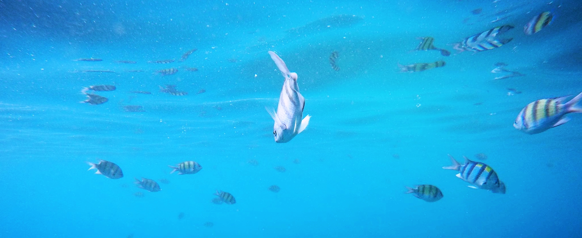 Underwater discoveries 