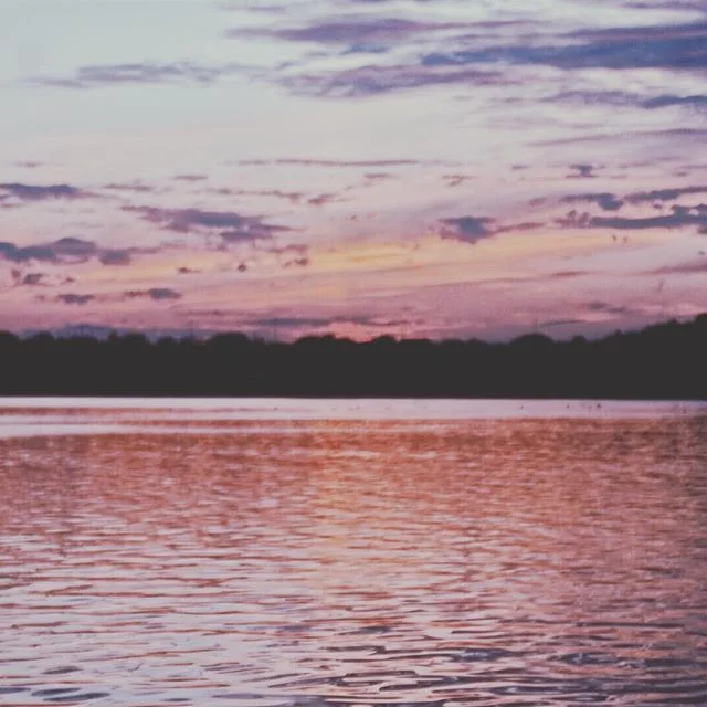 Free your mind, and the rest will follow. 💕 // Where/ What will your next leap of faith lead to? Comment below ⬇️