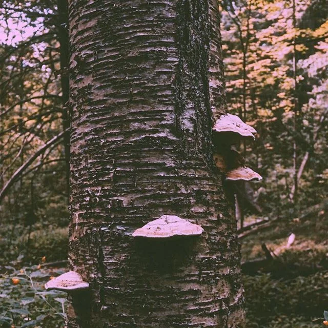 I no longer feel bad for cutting people out of my life. They may appear as blessings as first, but end up as lessons as their energy turns negative and grows into this ball of negativity that just needs to... cut loose.