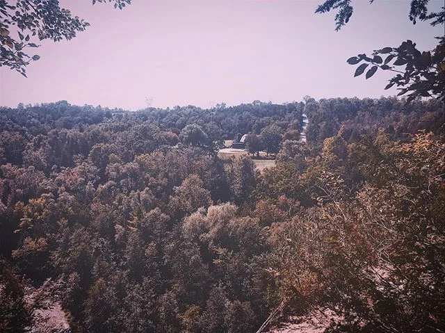 Comparison usually robs me of all feelings of satisfaction , as we're constantly looking at what we don't have and what they do have. But comparison will happen inevitably, and instead of having it bring negativity, let's condition ourselves to elici