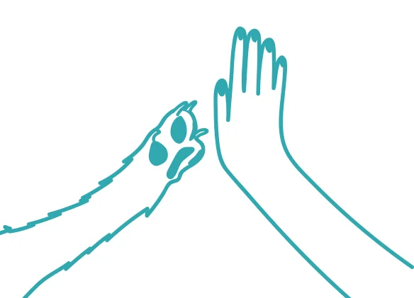 15. when a dog initiates a high five