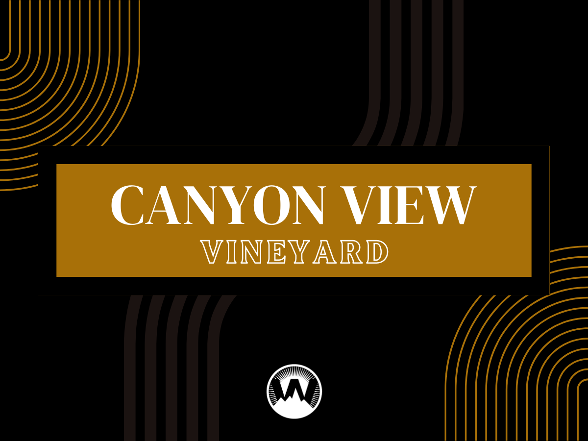 Canyon View.png