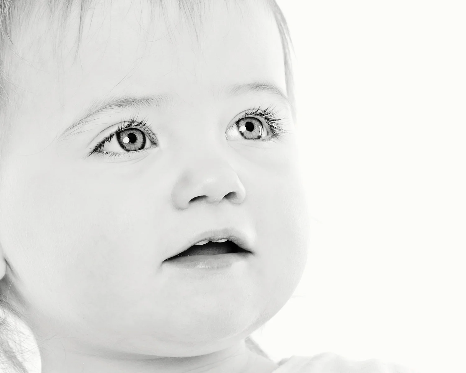 IMG_1951_crop_bw_crop.jpg