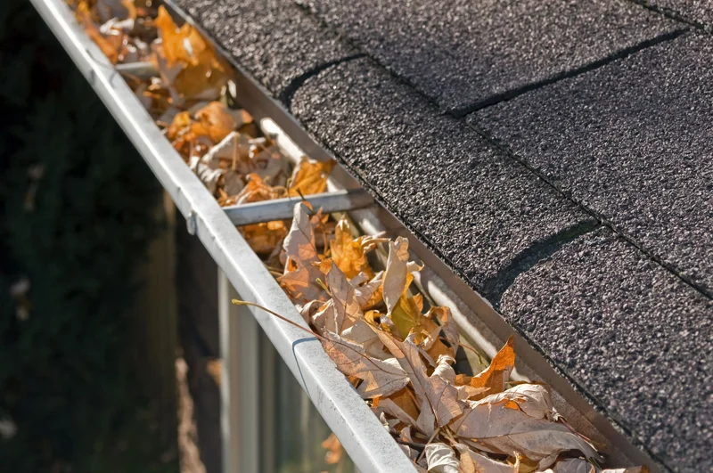 MARKSWASHING.COM-GUTTER.jpg