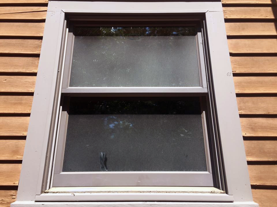 image3.JPG