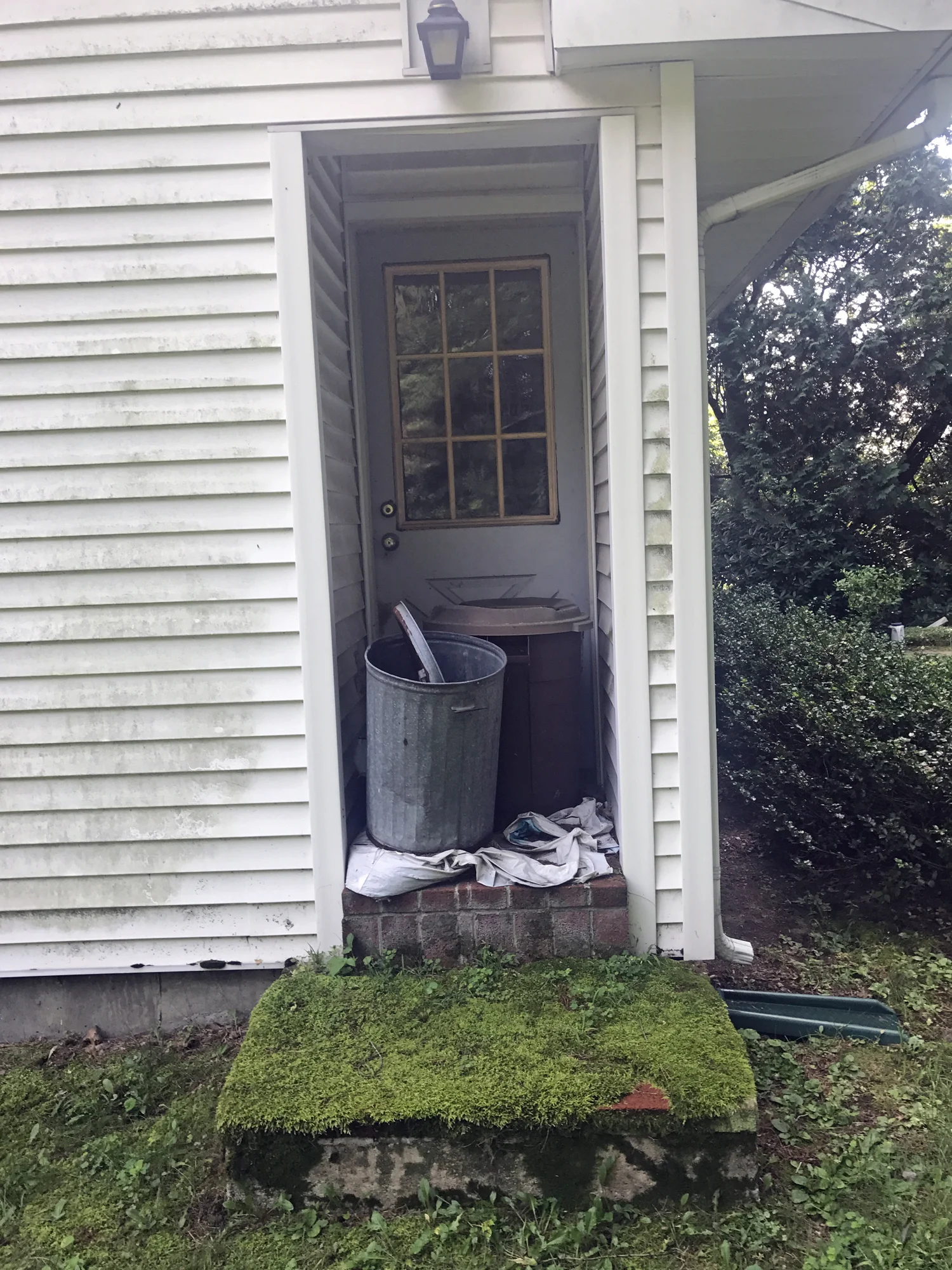 SOFT WASH HOUSE/POWER WASH WALKWAY