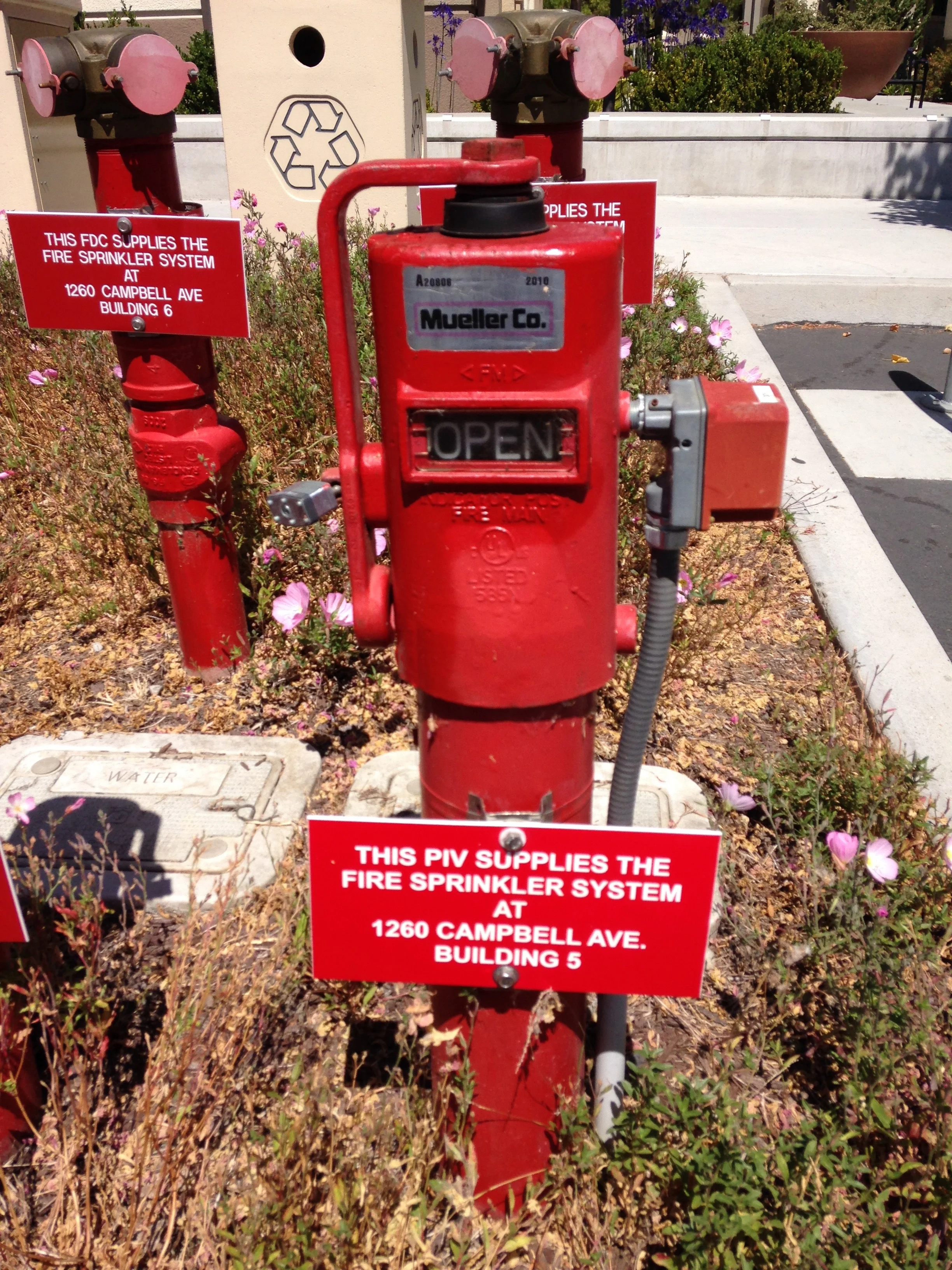 FIRE SAFETY NEEDS