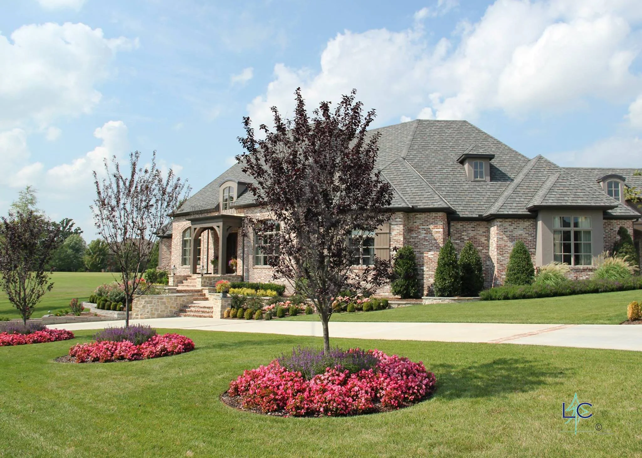 Home1.jpg