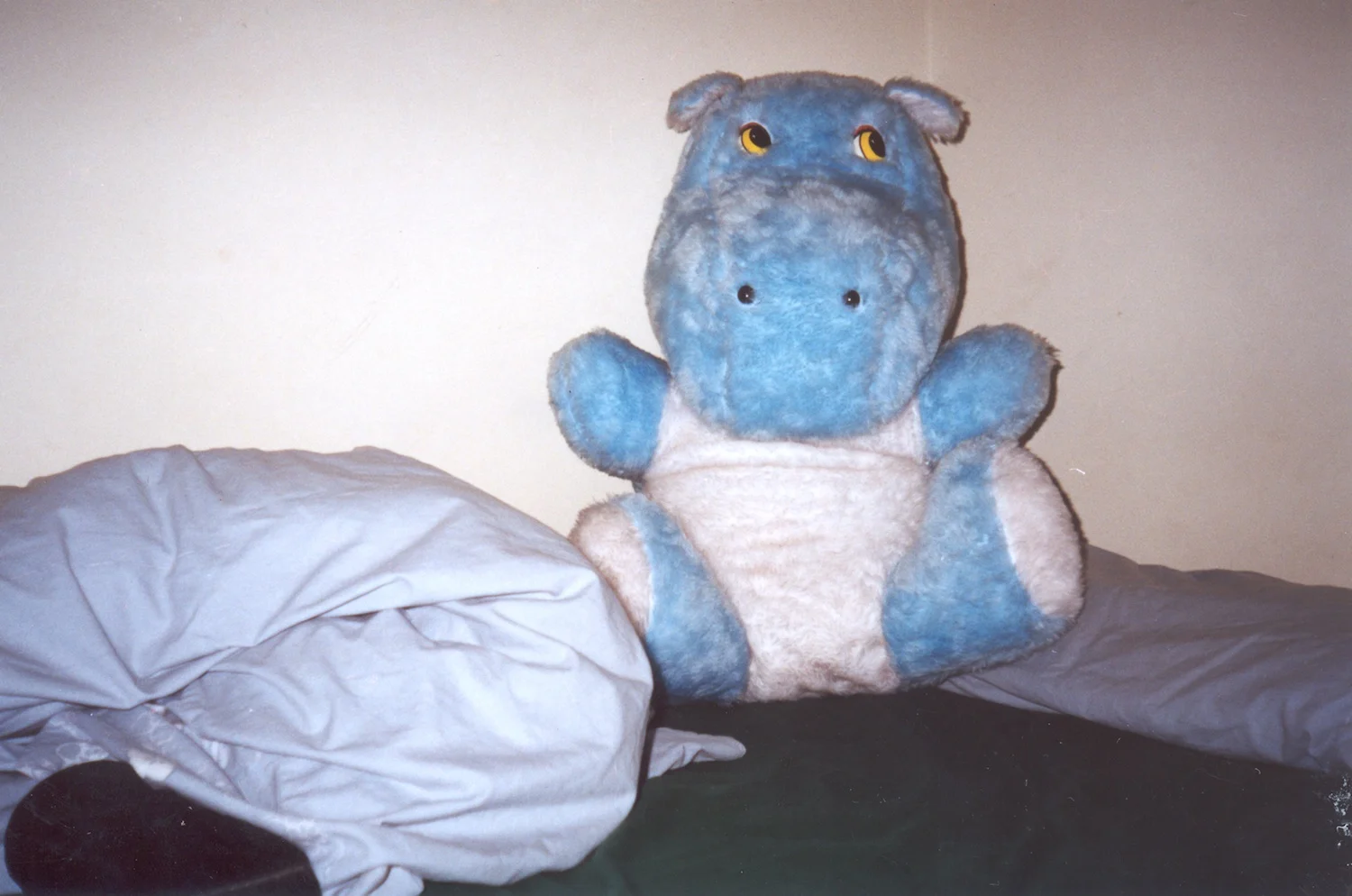 My Friend This is my friend 'Bomi'. I brought him in London because I live alone and I need friends. Sometimes I talk to him. He doesn't talk back. (c) Hawdin / Transparency / PhotoVoice