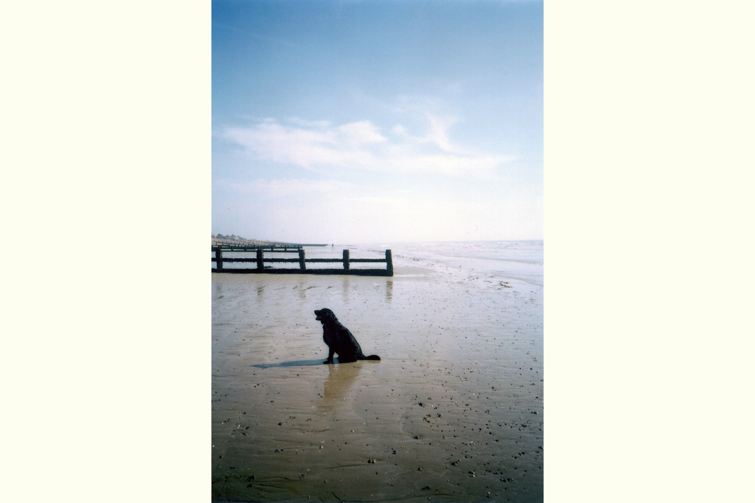  “The beach is a very calm space where I can experience freedom of thought and well being. I enjoy spending time with my dog and I feel in this particular picture a feeling of balance and happiness is communicated. Balance is crucial as it implies co