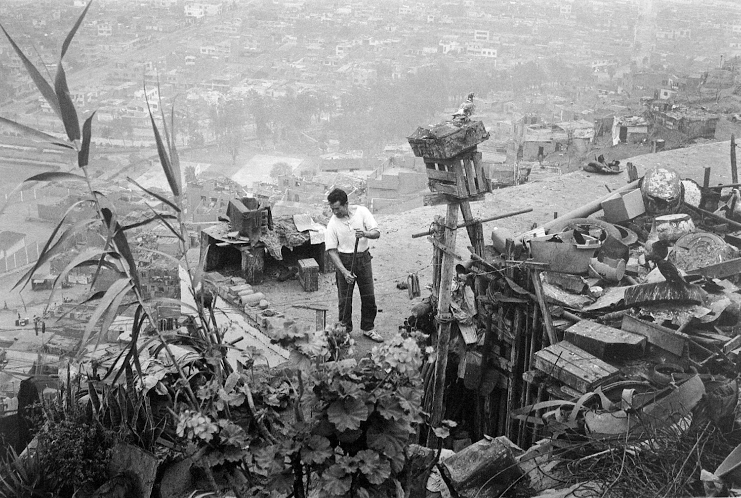  Enrique Watanabe / El palomar / El Agustino, Lima, 1986.&nbsp; © TAFOS 