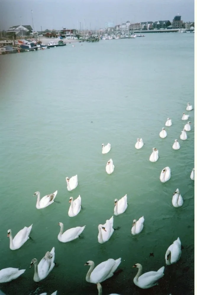 Mental Wealth: photography by adults living with mental illness