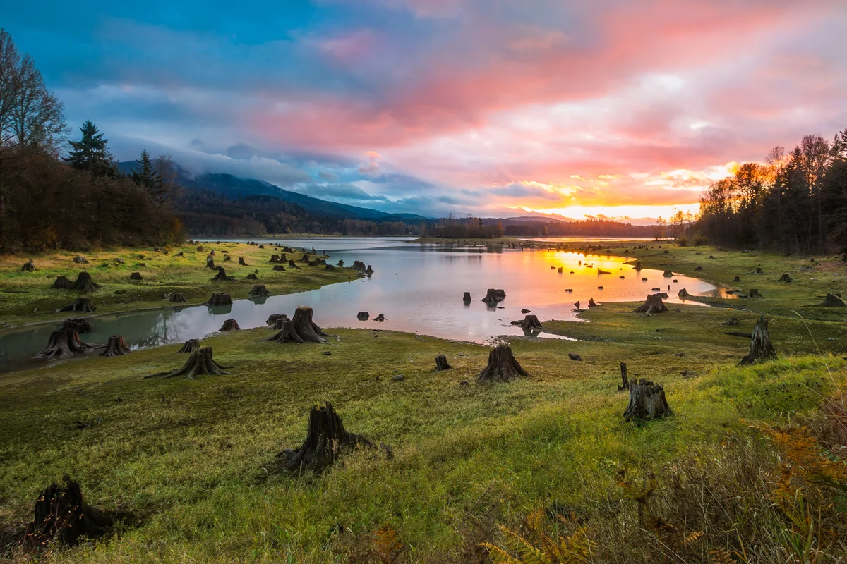 The Nature Conservancy In Washington