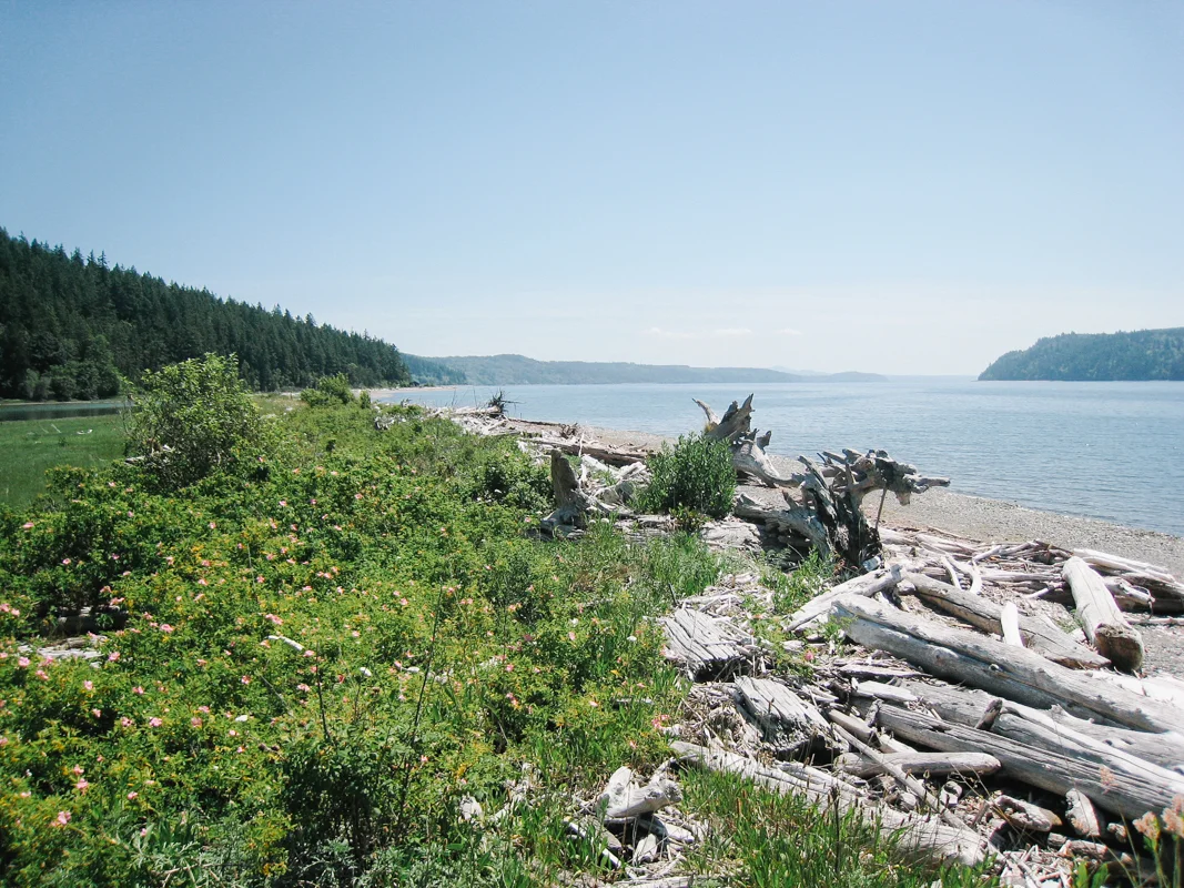 When Conservation Pays Dabob Bay Clean up — The Nature Conservancy in