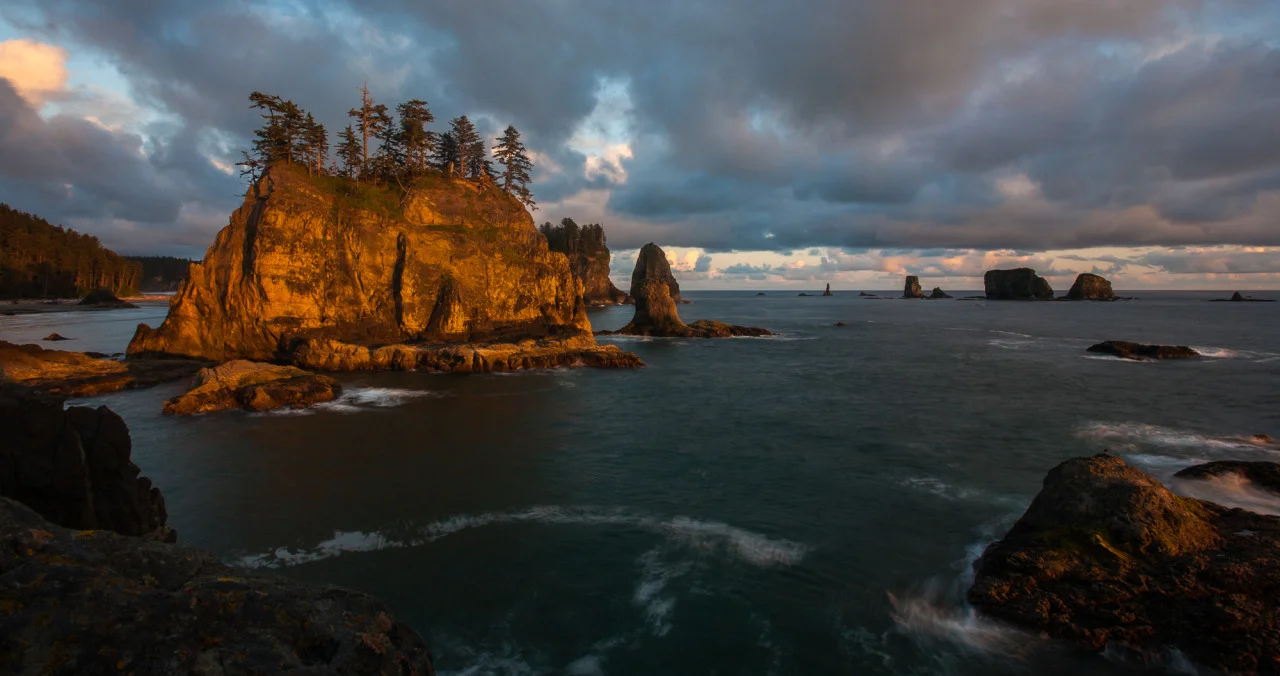 Enamored By The Coast By Wendy Marsh, Director of Donor Communication & Stewardship The thing I love the most about tide pools is that they offer a window into the ocean by revealing the fascinating beauty below the surface.
Last week I visited Second Beach, an incredible wilderness coastline in Olympic National Park. The Quileute Needles—jagged, dagger-shaped rock formations—are visible jutting out of the sea. Cliffs line the shoreline and, during low tide, reveal shallow tide pools. I was excited about this trip since I was traveling with members of our conservation and science staff. They are intimately knowledgeable and passionate about our work; seeing nature through their eyes is an incredibly rich experience.
However, my enthusiasm for exploring the tide pools had turned to trepidation after our meeting with NOAA earlier that morning in Port Angeles. I had asked her if she had any insight into the tragically massive die-off of starfish along the Pacific coasts.
Starfish have always seemed indestructible to me; if they lose a leg, it grows back. If you cut one in half, it can regenerate itself into two more individual stars.
But now there is an alarming wasting illness spreading through the starfish population. Similar to a flesh-eating disease, it’s a gruesome way to die. White lesions on the starfish’s limbs appear. Then the tissue surrounding the lesion starts to decay. The body fragments and “melts”, basically turning to goo.
Scientists don’t know what’s causing the disease or its spread, though it’s also possible that the disease is a result of a virus. But they’re not ruling out ocean acidification, lower oxygen levels or warming waters.
Why does this matter? Despite the fact that starfish are fascinating creatures that come in a variety of colors and shapes, they are a “keystone species” – meaning that, like in any stone building, if you remove the keystone, things start to crumble. Other species depend on them. Their extinction would have an extraordinarily significant effect on the biodiversity of their community.
The next day we surveyed the forests and land along the Hoh River. Our work here in the Olympics revolves around restoring salmon. Salmon are another keystone species and a symbol for building support for the conservation of the coastal ecosystems of the Pacific Northwest.
For me, here was an example of how environmental changes on one area create a domino effect on other parts of related ecosystems – in this case, specifically between the Hoh River and the Pacific Ocean.
Salmon make the case since they are also an indicator species. Because their lifecycle takes them from mountain headwaters, to the ocean, and back again, they are a litmus test of sorts for the overall health of our region. When they are healthy, so are our soil, our water, and our food supply. So we need to behave like salmon and bring together forests, rivers, estuaries and the ocean.
Unfortunately, most of the pressing threats to our natural world are anthropogenic (caused by humans): over fishing, land clearing, runoff pollution, removal of old growth forest, urban runoff, water and sediment contamination with toxic substances. The cumulative impact of several stressors has reduced the resiliency of many ecosystems. But we can and are changing all that .
Just as the land and the sea meet at tide pools, TNC’s work is to help these natural assets adjust, adapt, and become resilient in the challenging changing of the tides every day.
I hope you’re a member – I can tell you first hand that there is nothing like the feeling that comes from creating change that is better for the environment and, therefore, ourselves.