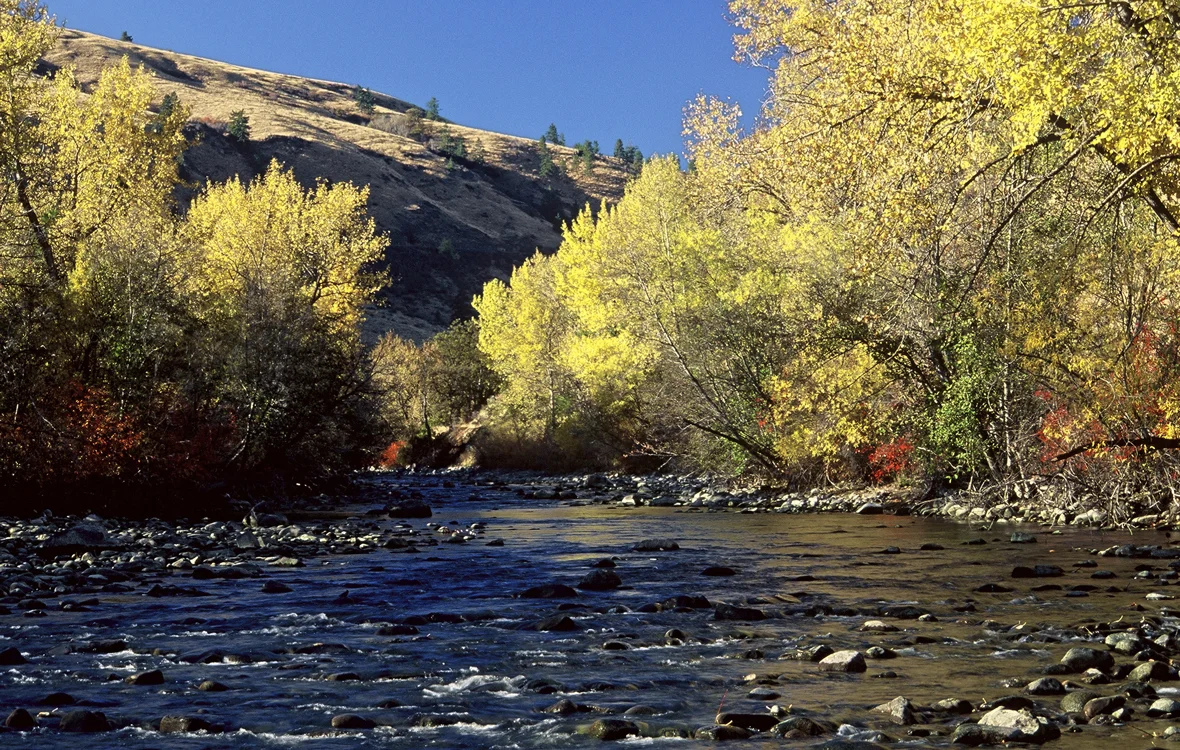 Tieton River The Nature Conservancy in Washington