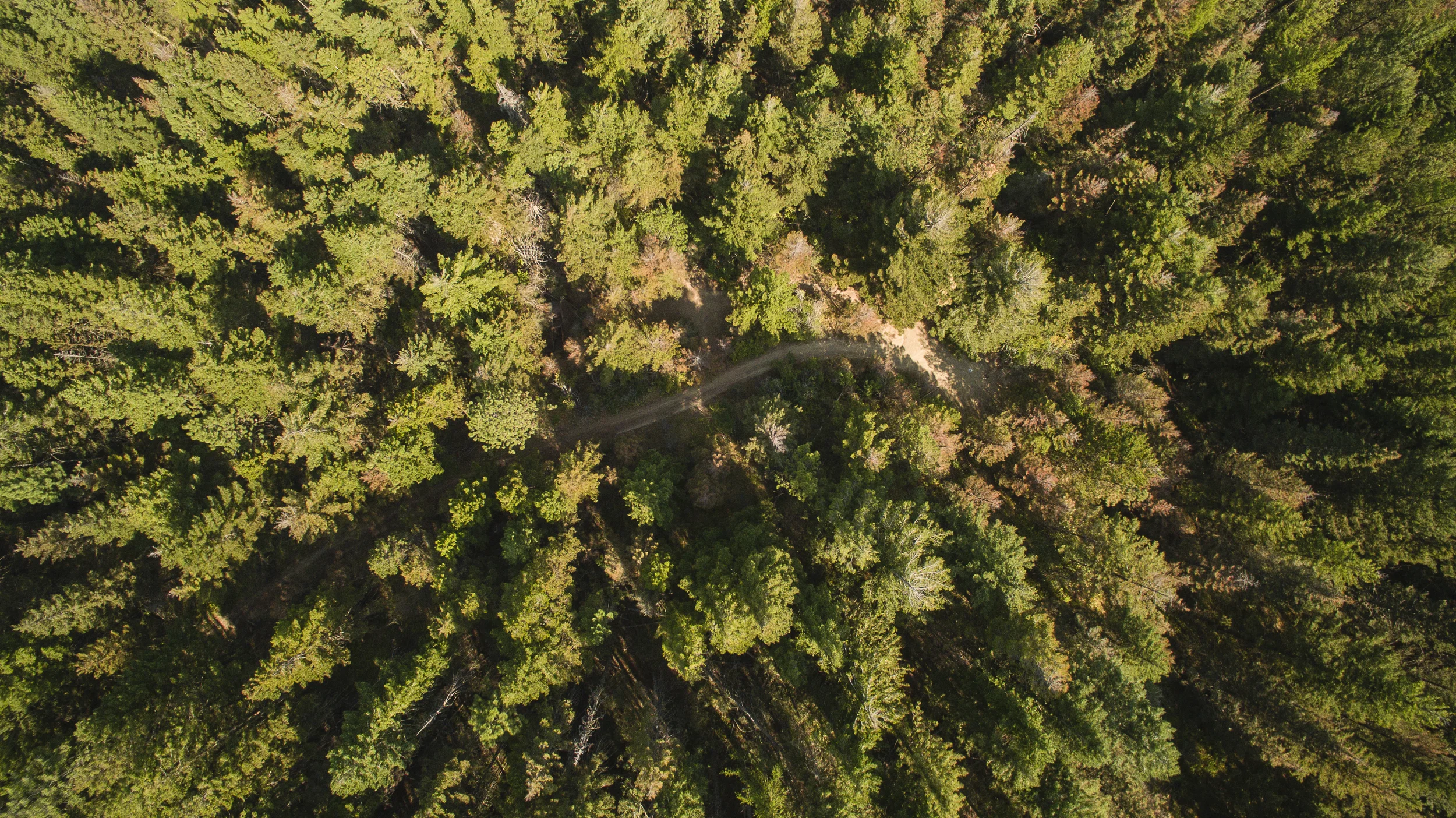 Fisher Slough Work Party