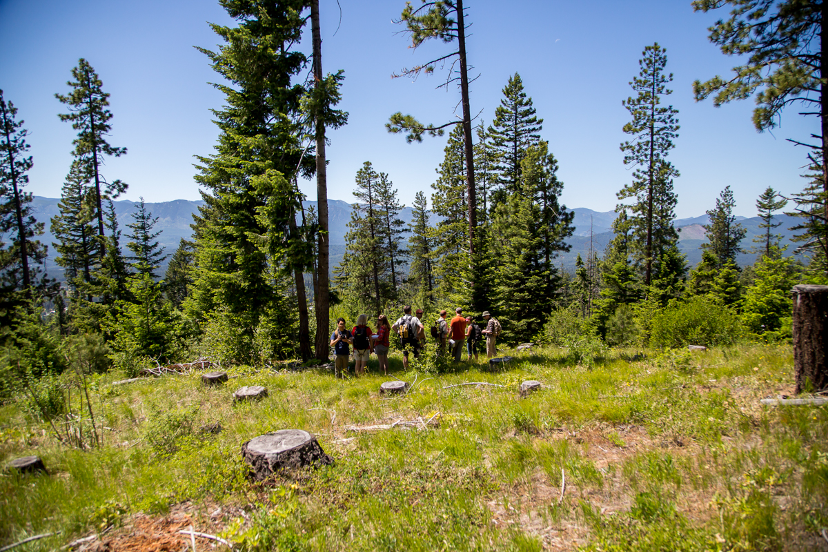 Exploring the Central Cascades Our All Staff Field trip — The Nature