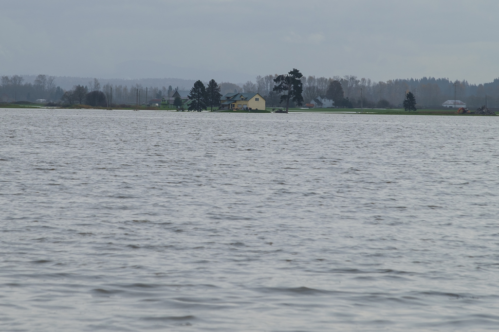 DSCF7828.jpg