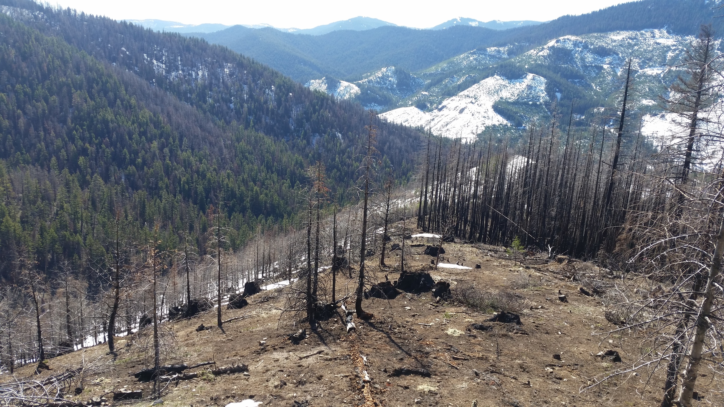 S Cle Elum Ridge_area burned in 2014 (2).jpg