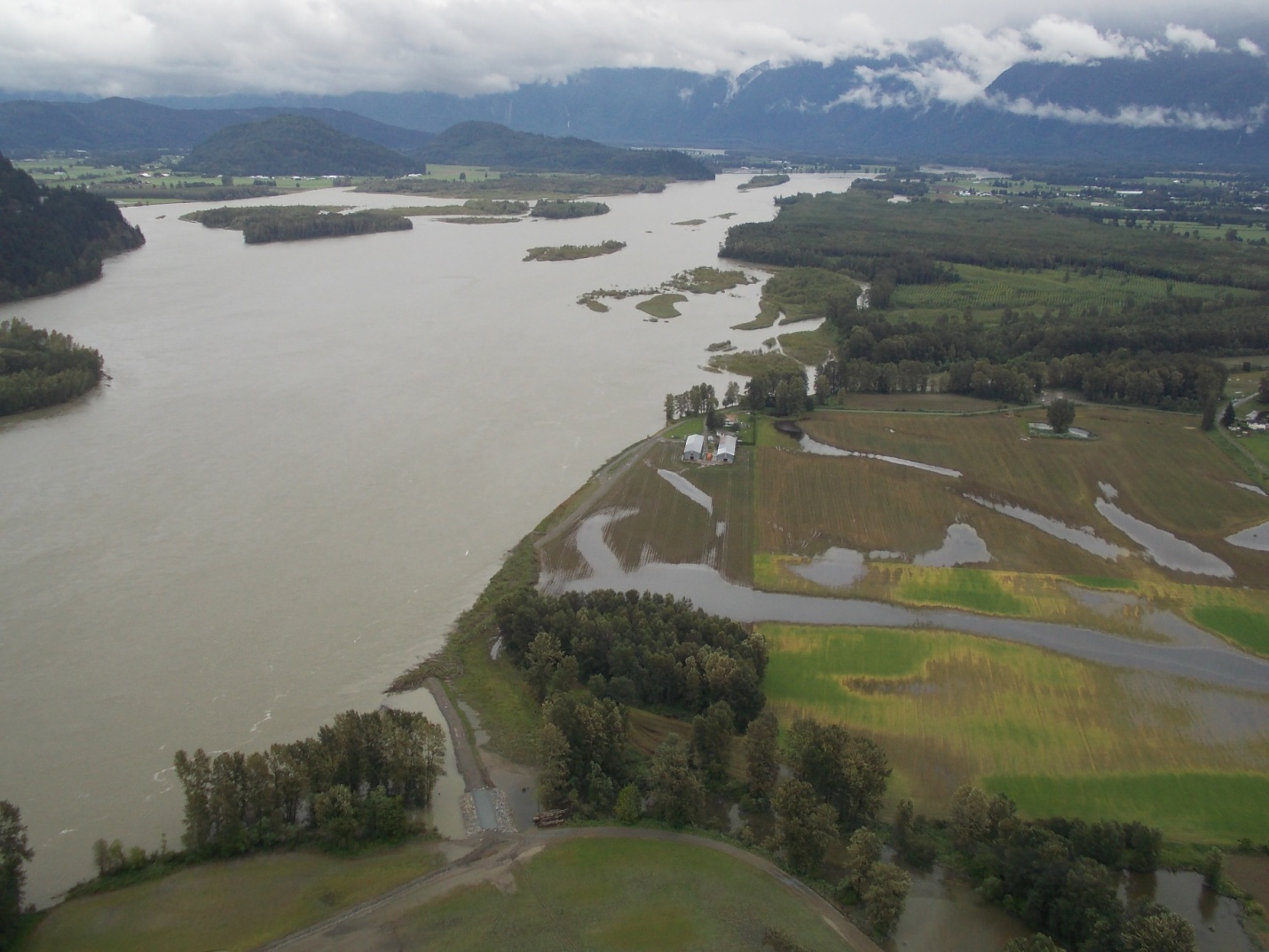 Fraser River June 2012 near Carey Point in Chilliwack bank full conditions.jpg