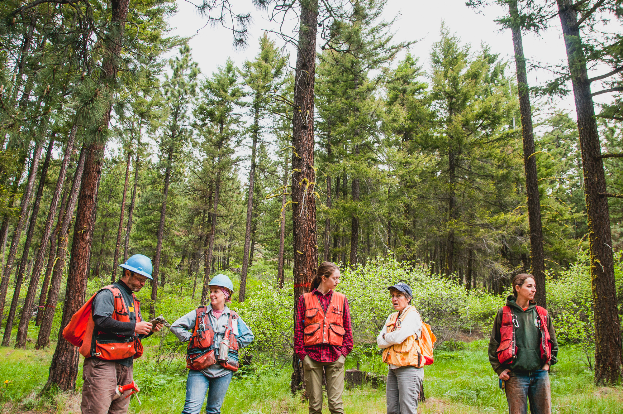 TNC_ForestersWorkshop_HannahLetinich007.jpg