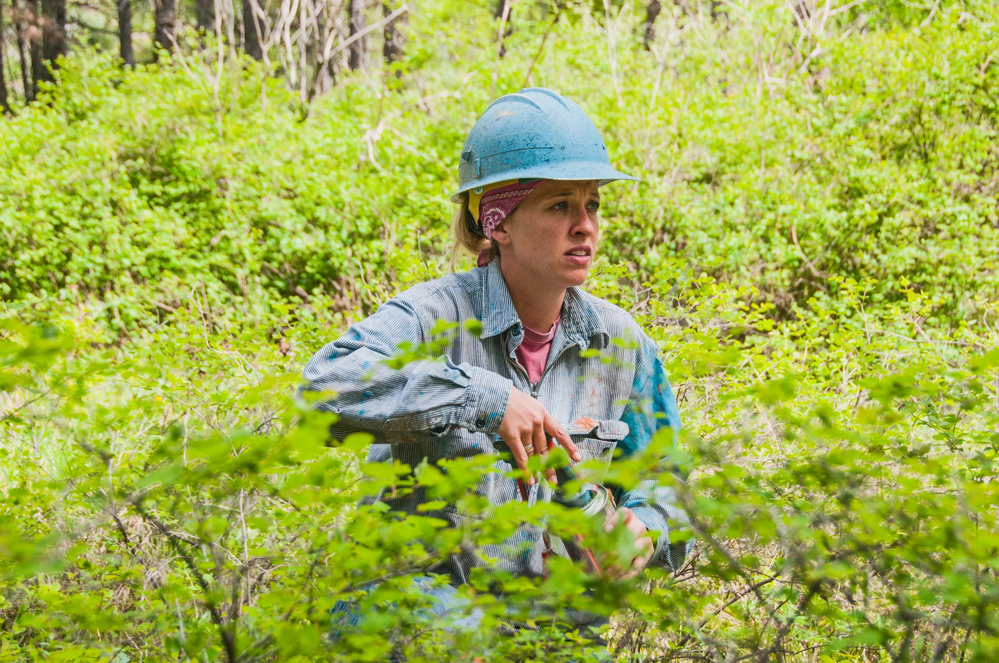 TNC_ForestersWorkshop_HannahLetinich018.jpg