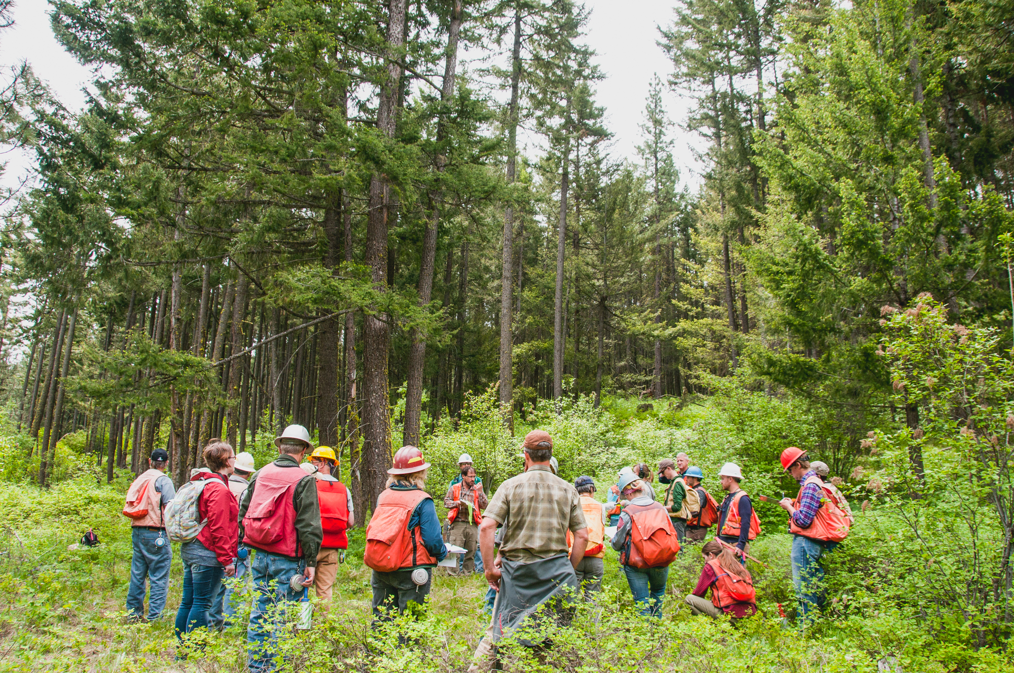 TNC_ForestersWorkshop_HannahLetinich032.jpg