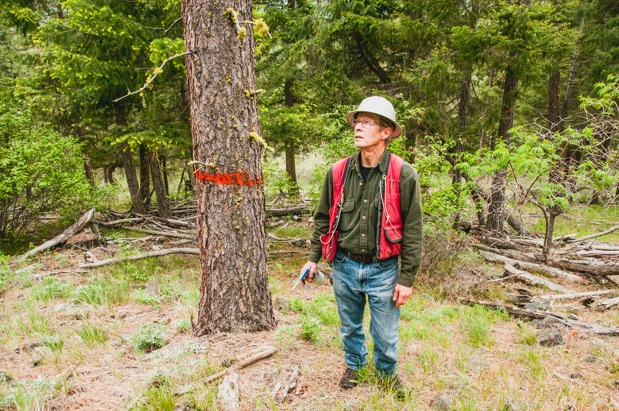 TNC_ForestersWorkshop_HannahLetinich062.jpg