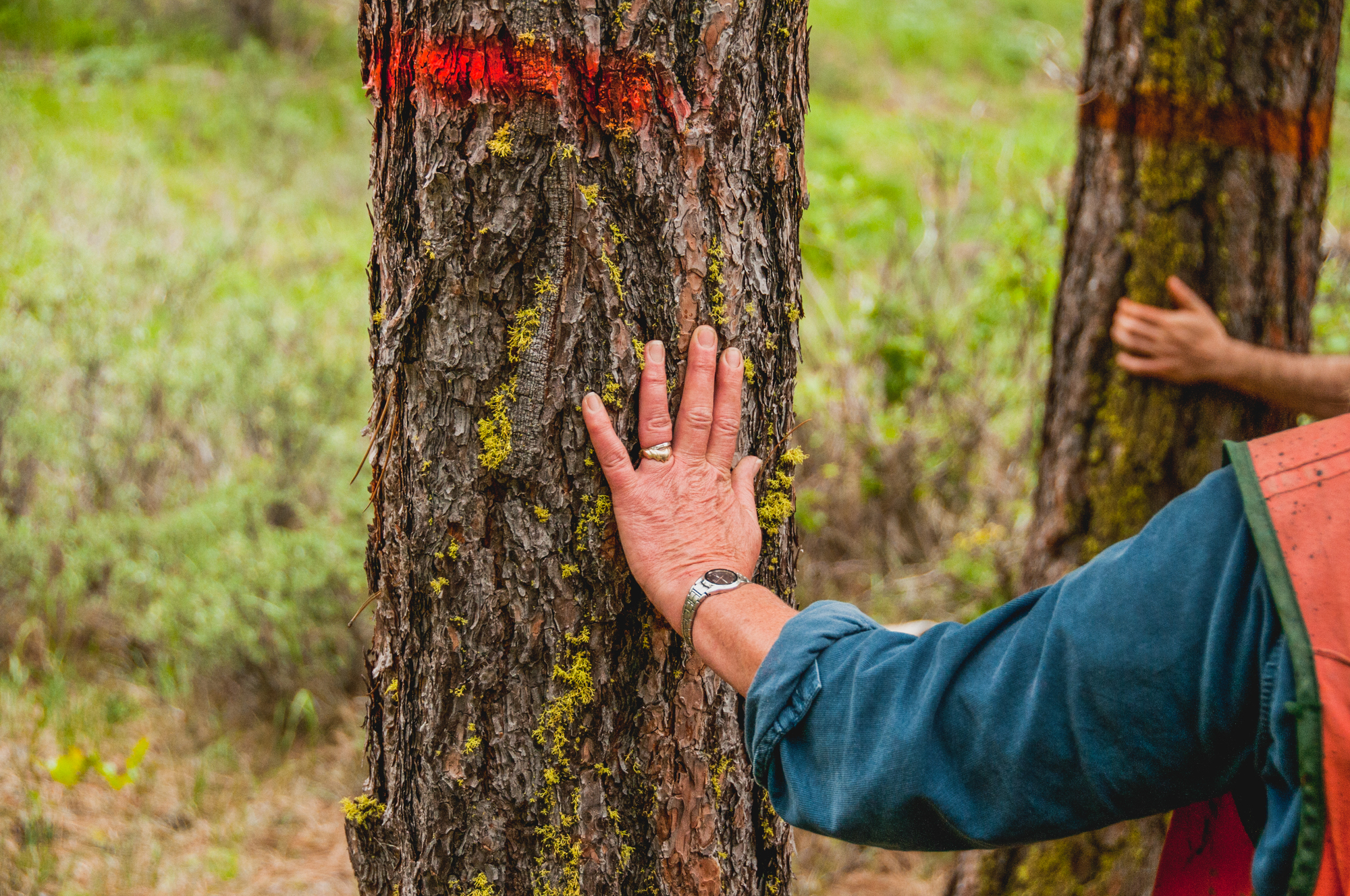 TNC_ForestersWorkshop_HannahLetinich069.jpg