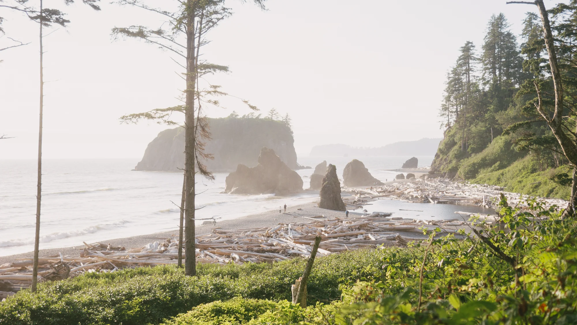Quinault Indian Nation named Title Sponsor for Washington Coast Works Sustainable Business Plan Competition 