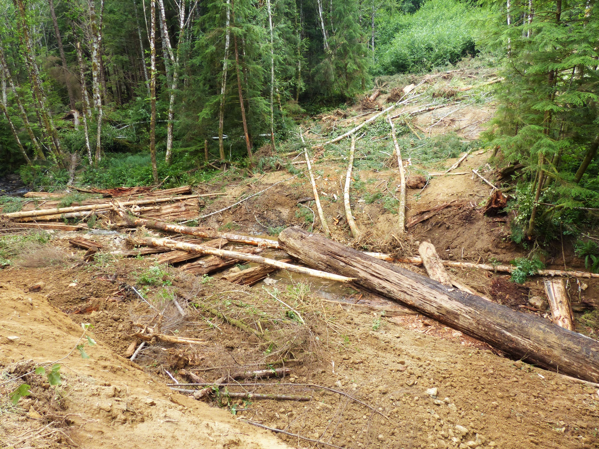  After the bridge was deconstructed, the timbers were used to create log jams and foster stream structure. 