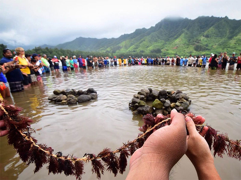 The Emerald Edge delegation joins Indigenous people and grassroots organizations from more than 30 countries in blessing the fish pond  lei limu , seaweed woven into dried grass.&nbsp; 