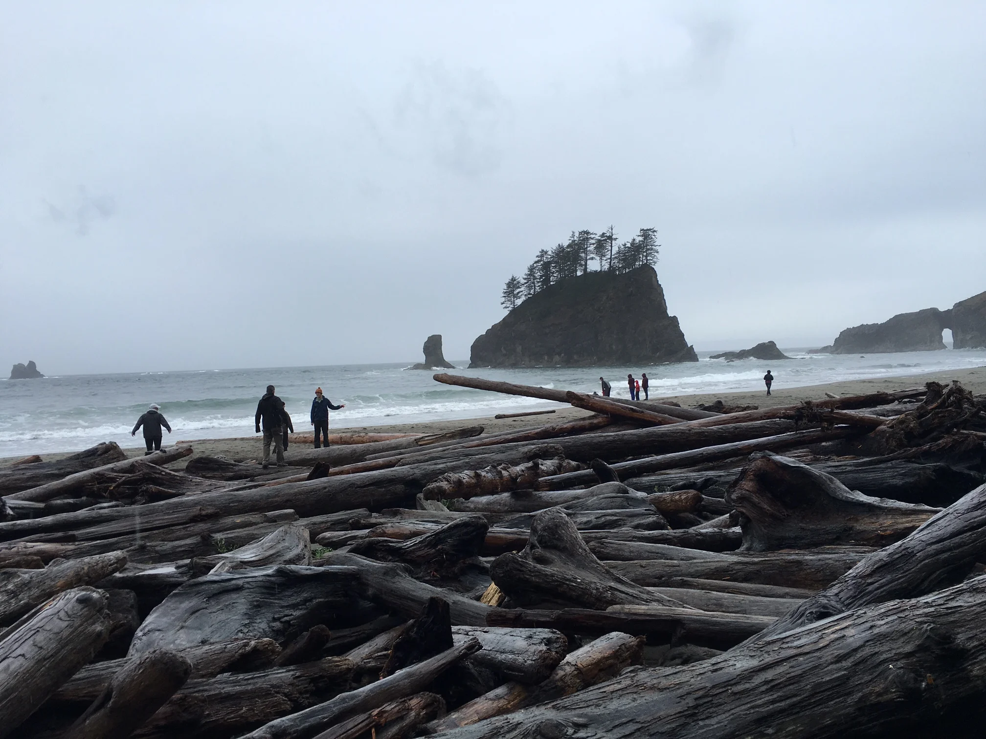 International Coastal Cleanup Day 