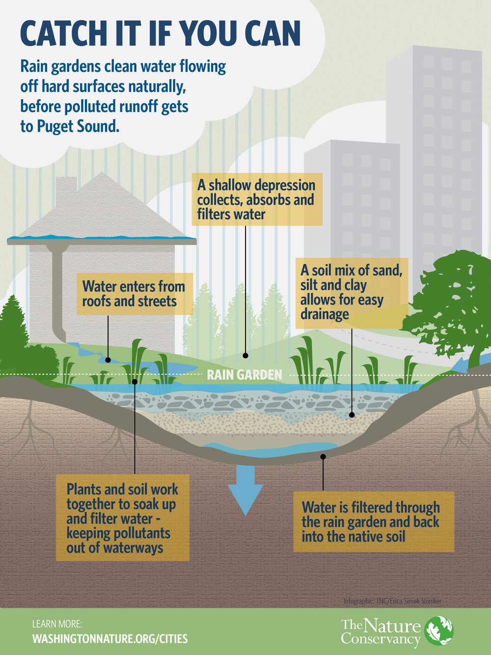 Rain Gardens: Below the Surface — The Nature Conservancy Washington