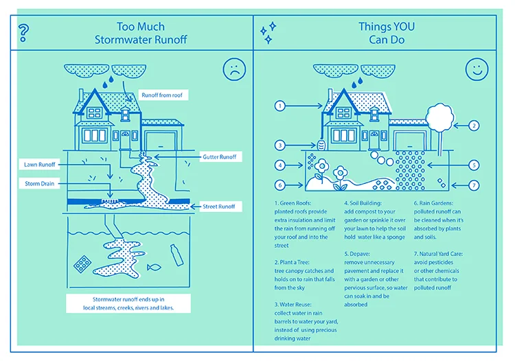 How Can I Make My Home More Green — The Nature Conservancy in Washington