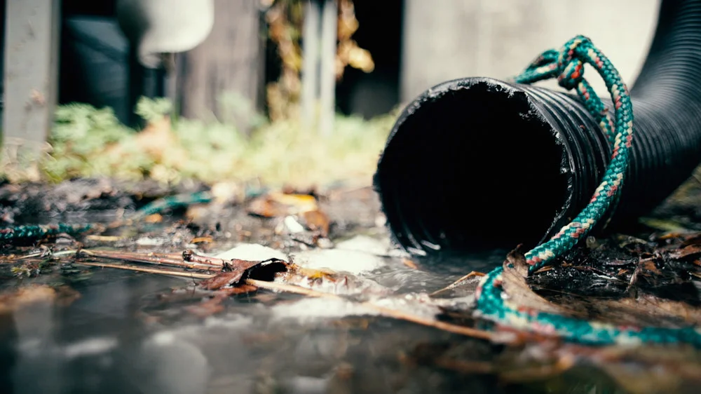 The Truth About Puget Sound