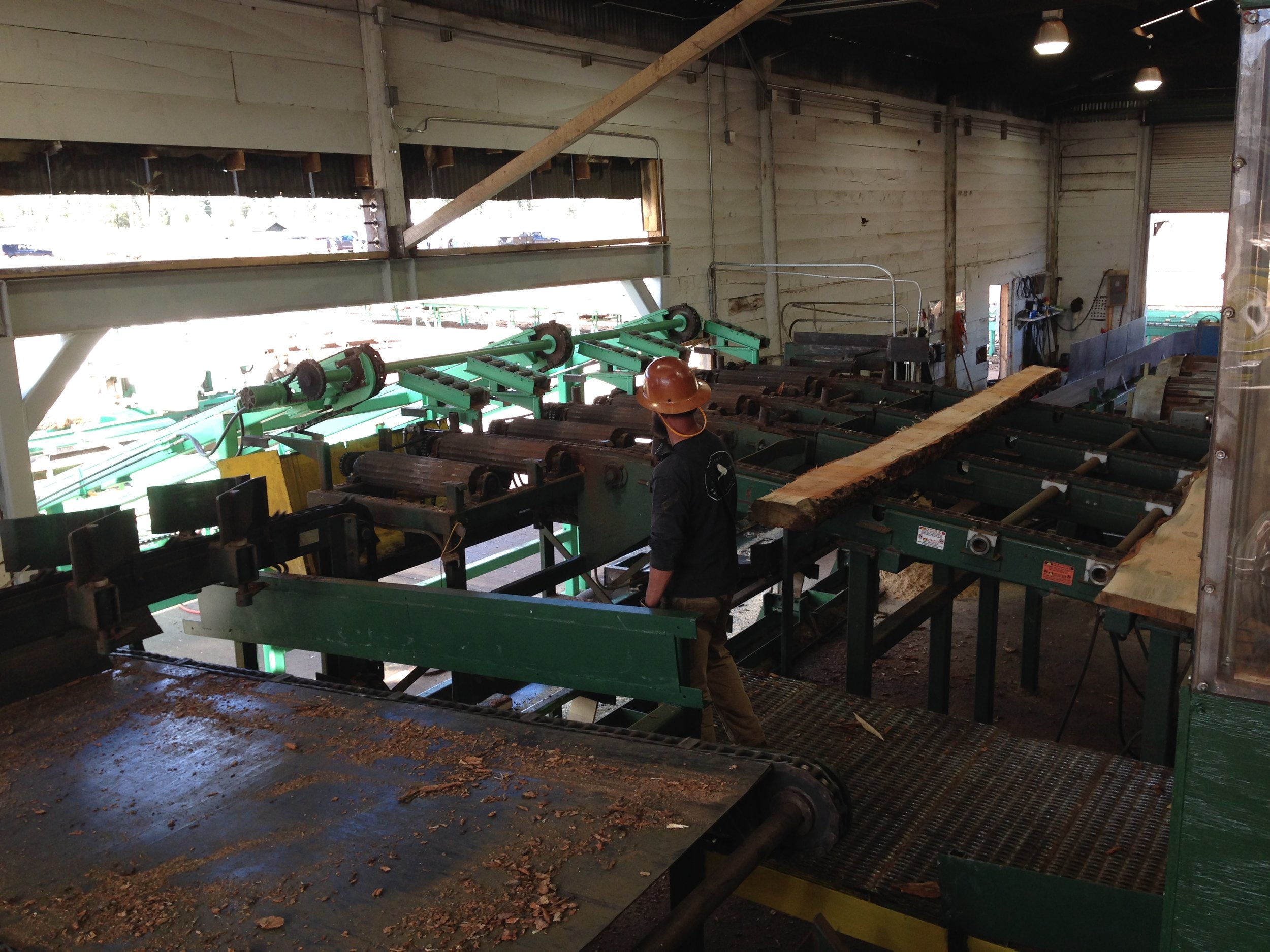  A view from inside the NewPac Fibre sawmill in Williams, AZ.&nbsp; 