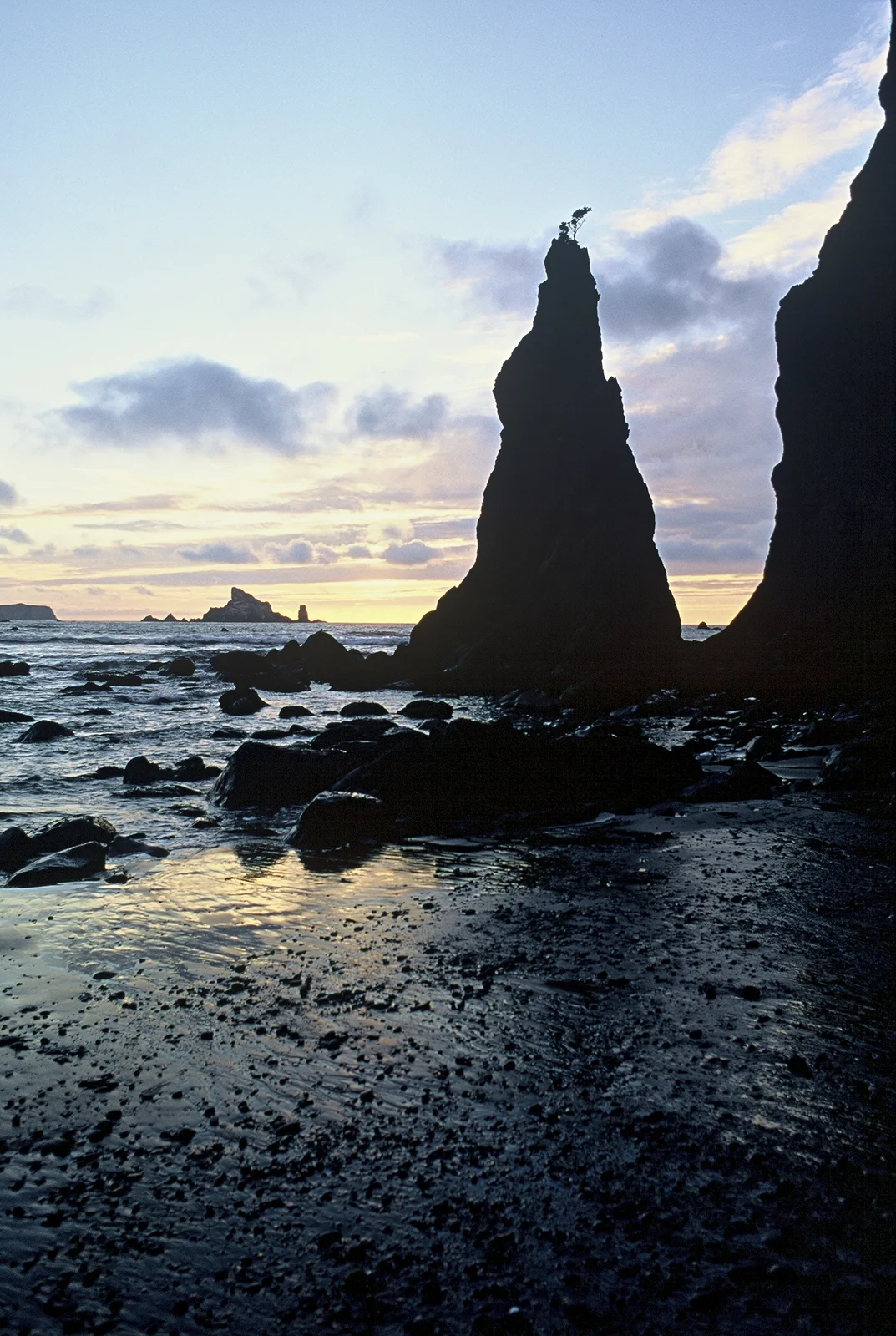 A Message from the Sea